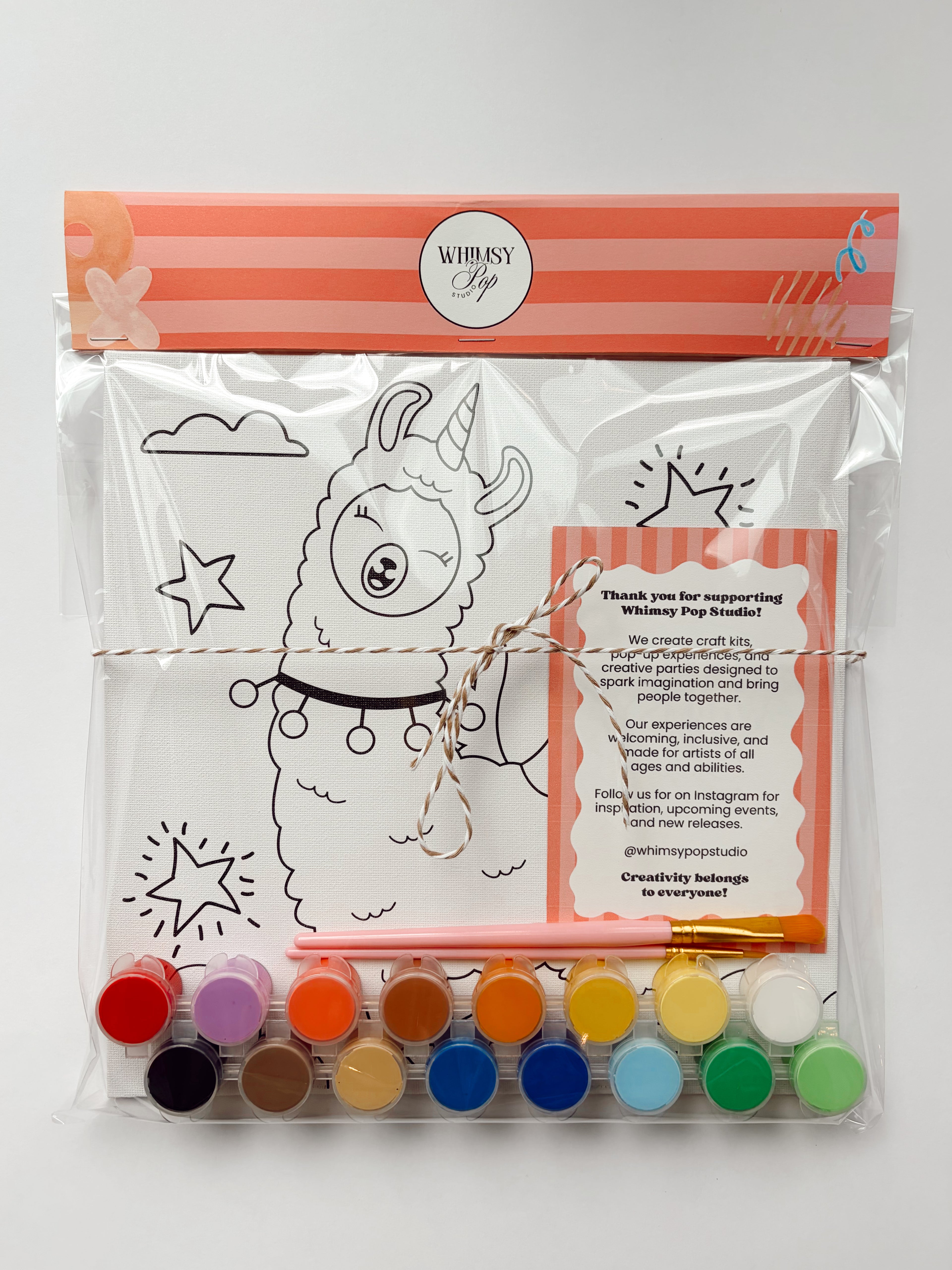 Paint & Create Canvas Set