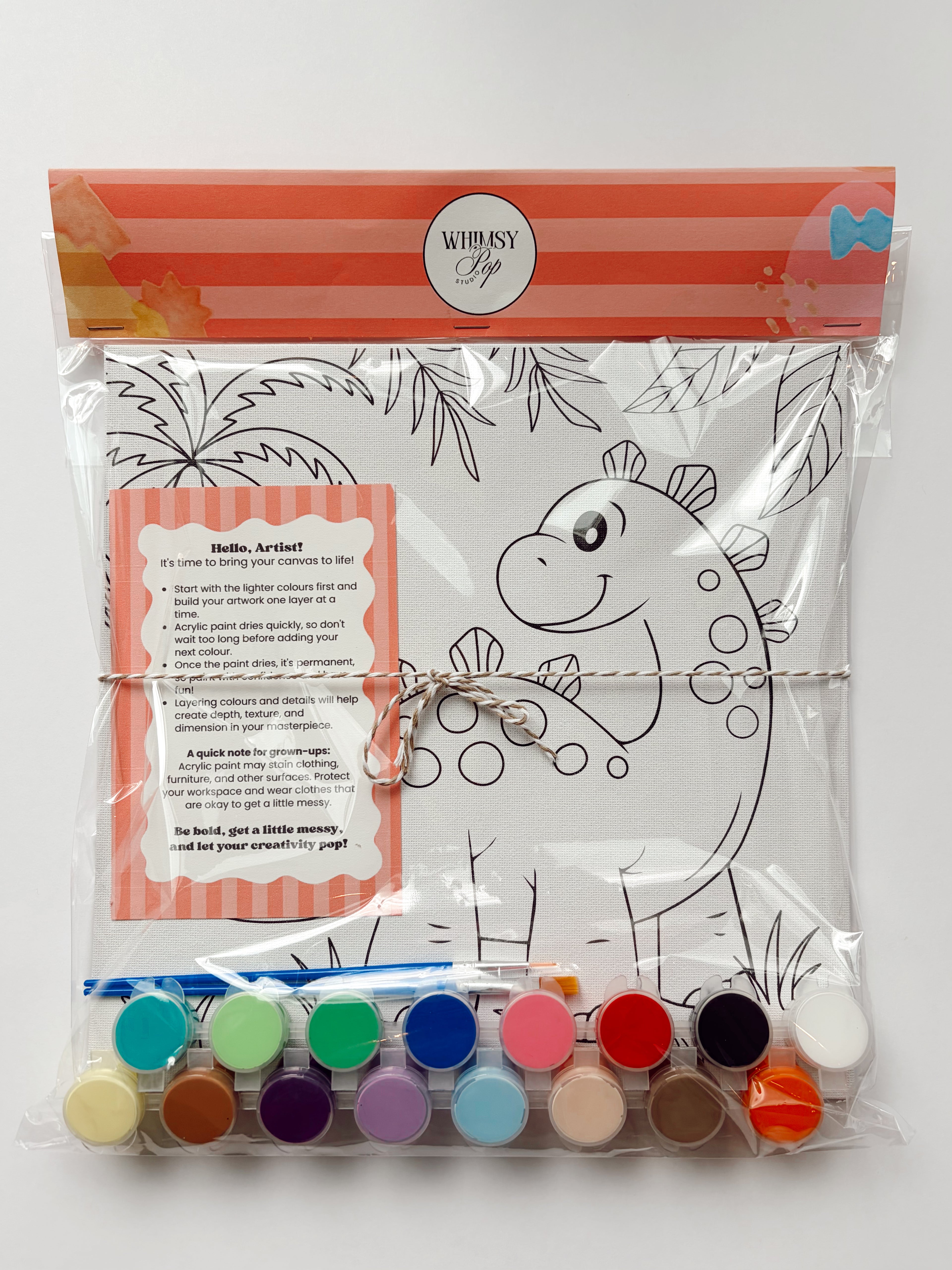 Paint & Create Canvas Set