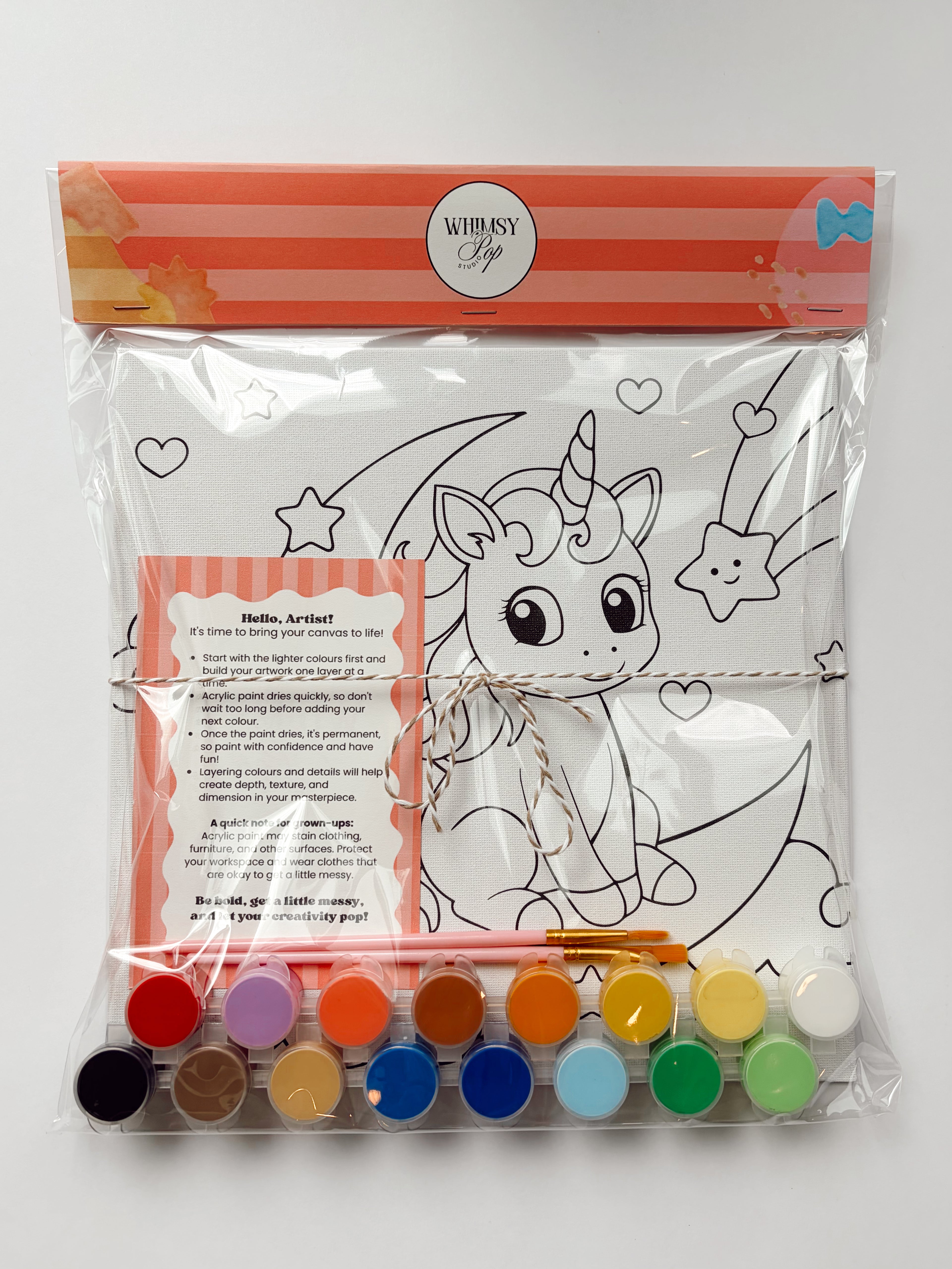 Paint & Create Canvas Set